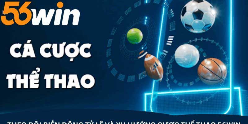 56Win nền tảng thịnh hành nhất hiện nay